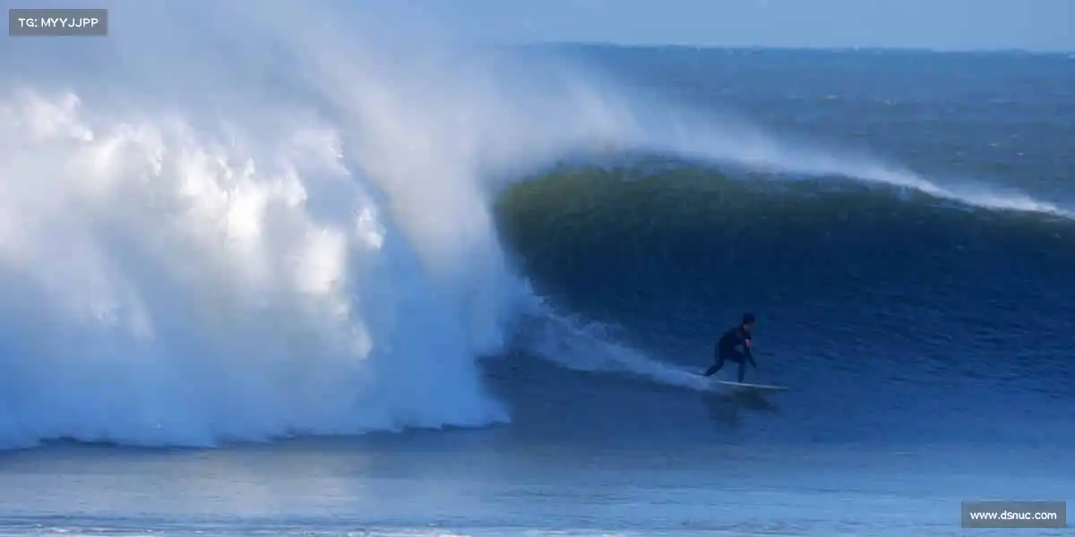 我们的核心竞争力